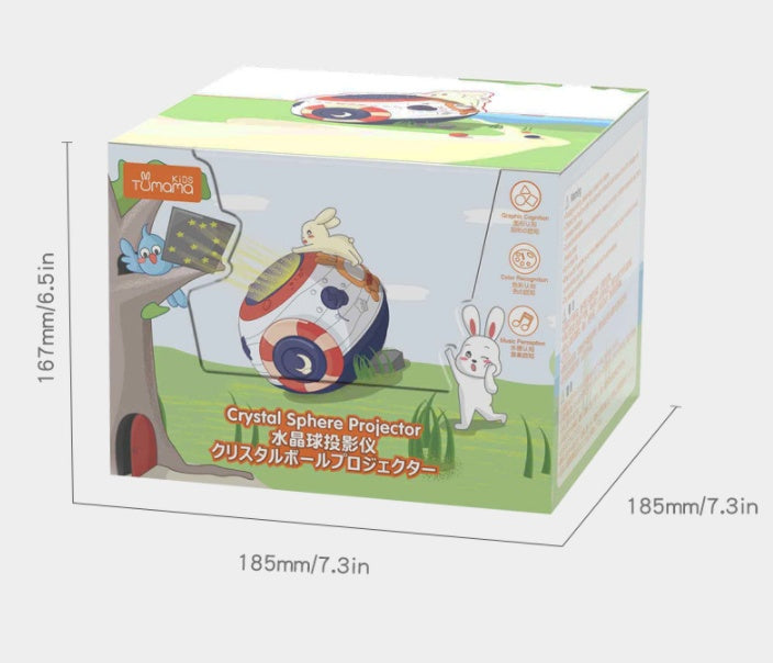  Light Projector